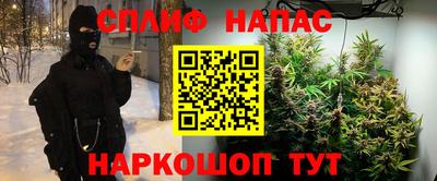 прущие грибы Краснокаменск