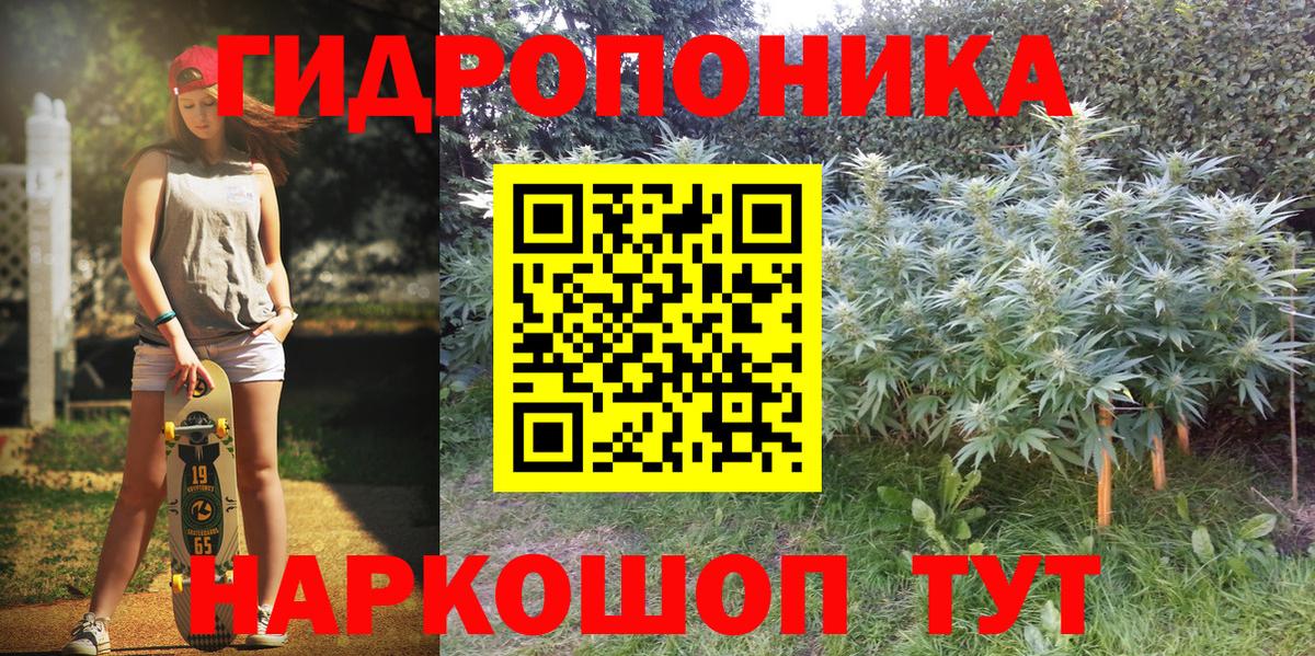 Конопля Bruce Banner Ишим